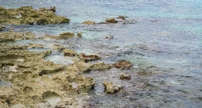 Mayan Riviera Bucket List With Kids shallow reefs for beachside snorkeling on the riviera maya