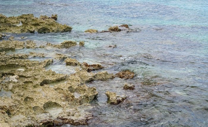 Sargassum seaweed disrupts beach-side snorkeling and swimming on the riviera maya.