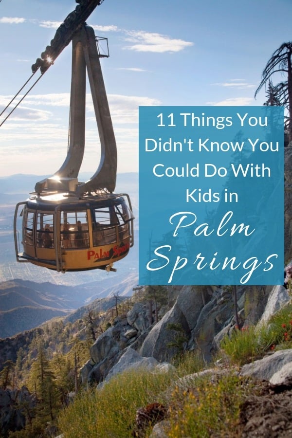 Palm springs, california with kids? Yes. Here are 11 things to do that will please kids from toddlers to teenagers. #palmsprings #california #vacation #kids #thingstodo #outdoors