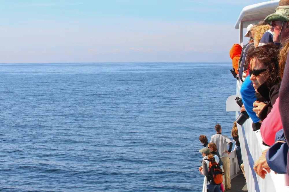Cape Cod: 11 Easy, No-Stress Things To Do With Tots. Kids &Amp; Teens People cluster along the rim of a whale-watching boat off the coast of cape cod.