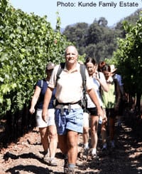 Families can hike in the kunde vineyards in sonoma on certain days.