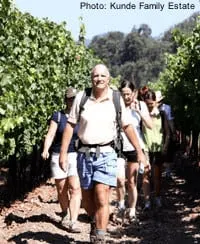families can hike in the kunde vineyards in sonoma on certain days.