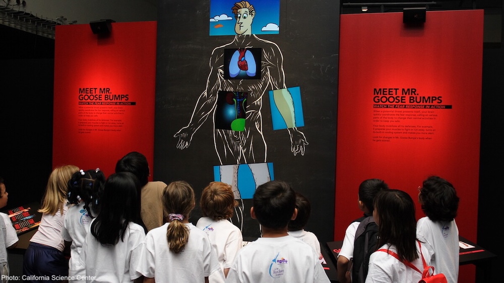 Mr. Goosebumps explains to kids how bodies react to fear at the california science center in l. A.