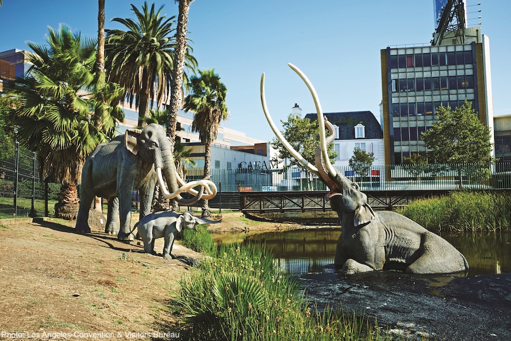 At the la brea tar pits kids and parents can learn about the ice age in los angeles.