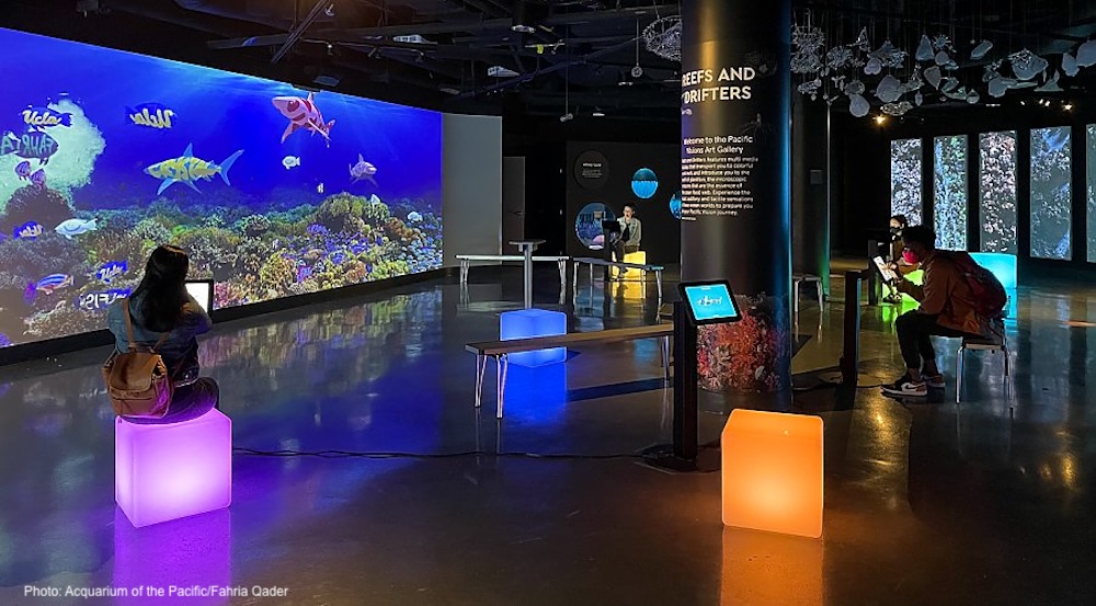 Kids will love the chance to paint a fish any color they like on the virtual fish tank at the acquarium of the pacific in l. A.