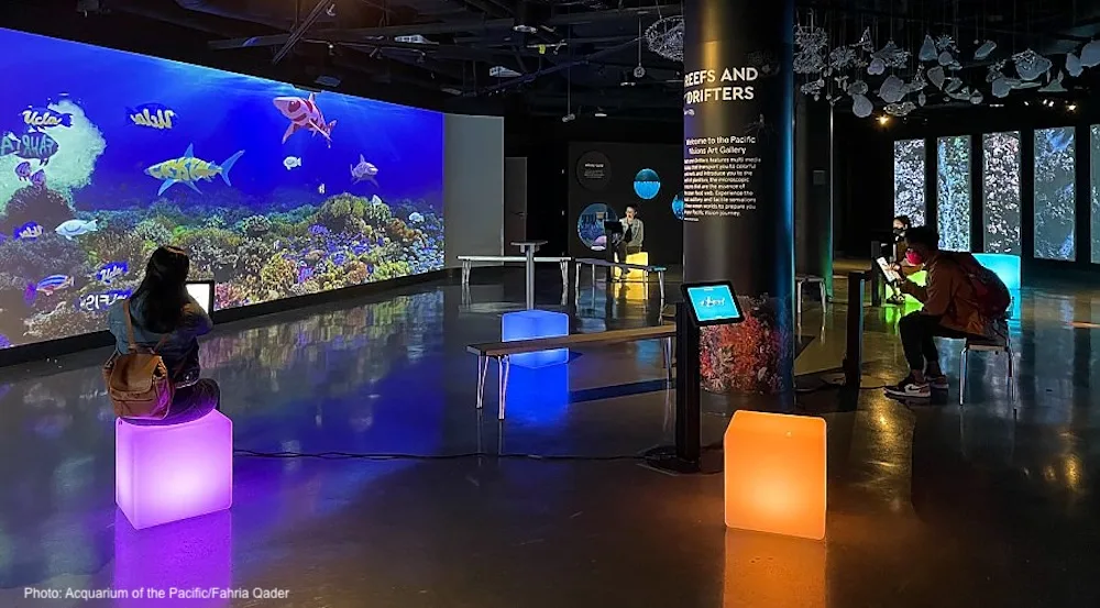 The Best 10 Things To Do With Kids In Los Angeles Kids will love the chance to paint a fish any color they like on the virtual fish tank at the acquarium of the pacific in l. A.