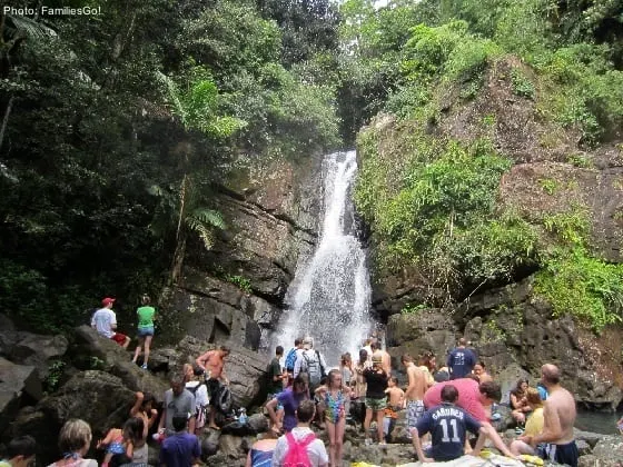 the waterfall at el yunque is a good reward for your hiking and is very popular.