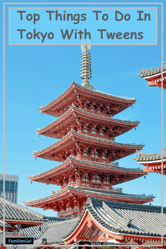 here are our tips for the best things to do in tokyo japan with tweens from where to see the cherry blossoms to best places to view the skyline. #tokyo #tweens #tips