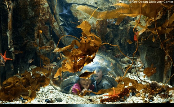 The shaw discovery center in sidney bc