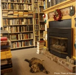 a cozy book store in sidney, bc