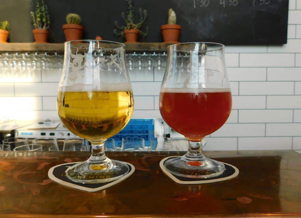 Troegs summer beers