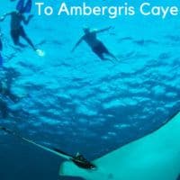 Ambergris caye, belize has a laidback vice, great beaches, and amazing snorkeling, all of which make it an easy and fun place to vacation with kids. #belize #ambergriscaye #kids #thingstodo #beach #vacation #dining #snorkeling