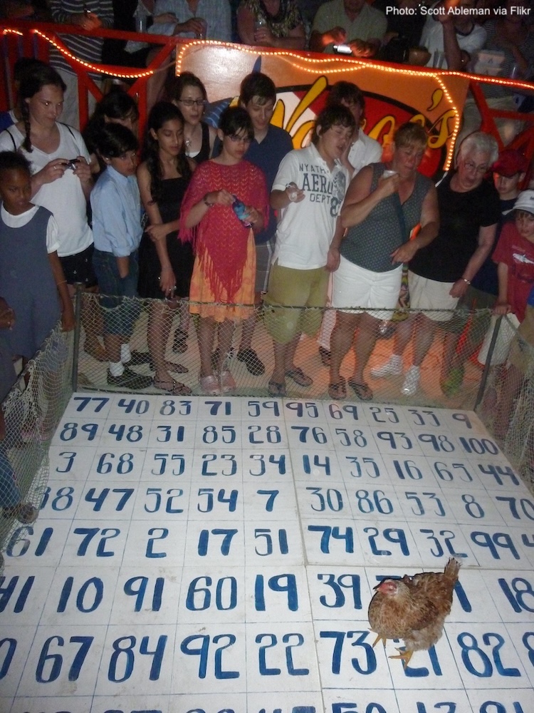 The chicken drop i a popular evening activity on ambergris caye, belize.