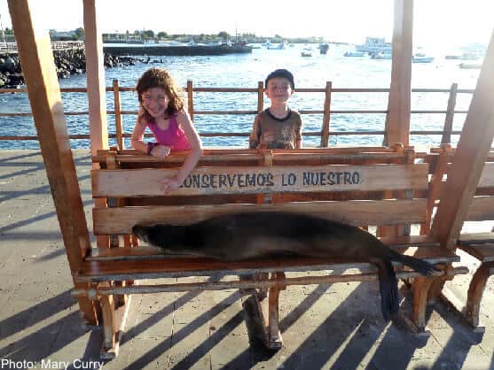 Plan An Amazing Galapagos Islands Cruise With Kids