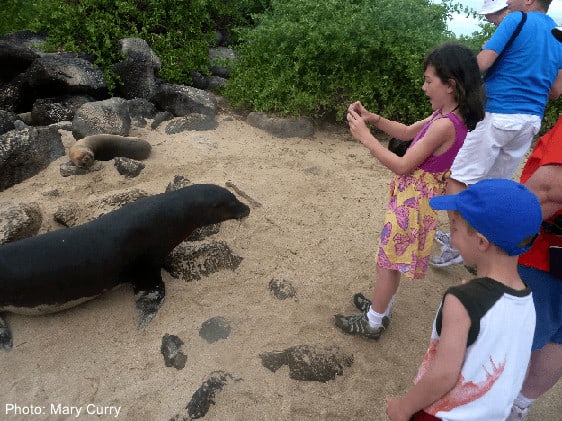 photographing seals on the galapagos