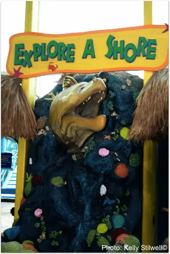 3 Central Florida Aquariums For Families this aquarium in tampa makes learning fun