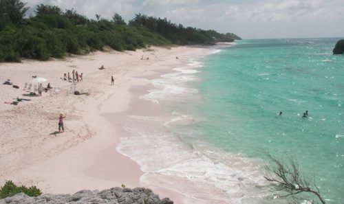 warwick long bay...is long, sandy and not too crowded. 