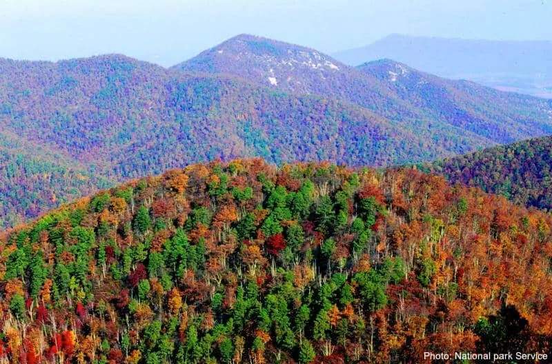 8 Places To Enjoy Spectacular Fall Foliage With Kids shenandoah valley fall foliage