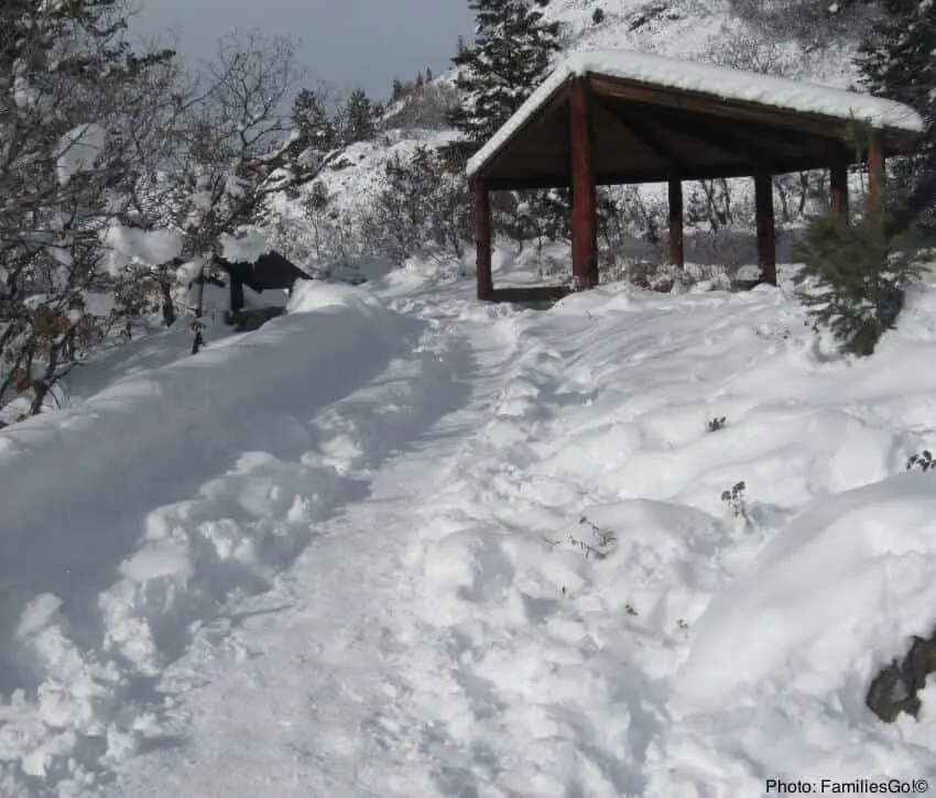 Steamboat Springs: 6 Unbeatable Winter Things To Do With Kids Hiking trail at fishcreek falls, covered in snow.
