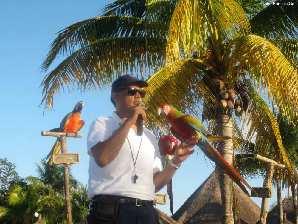 the parrot show at bahia principe coba