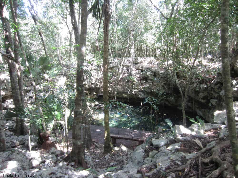 A mexican cenote on the grounds of grand bahia principe in the yucatan