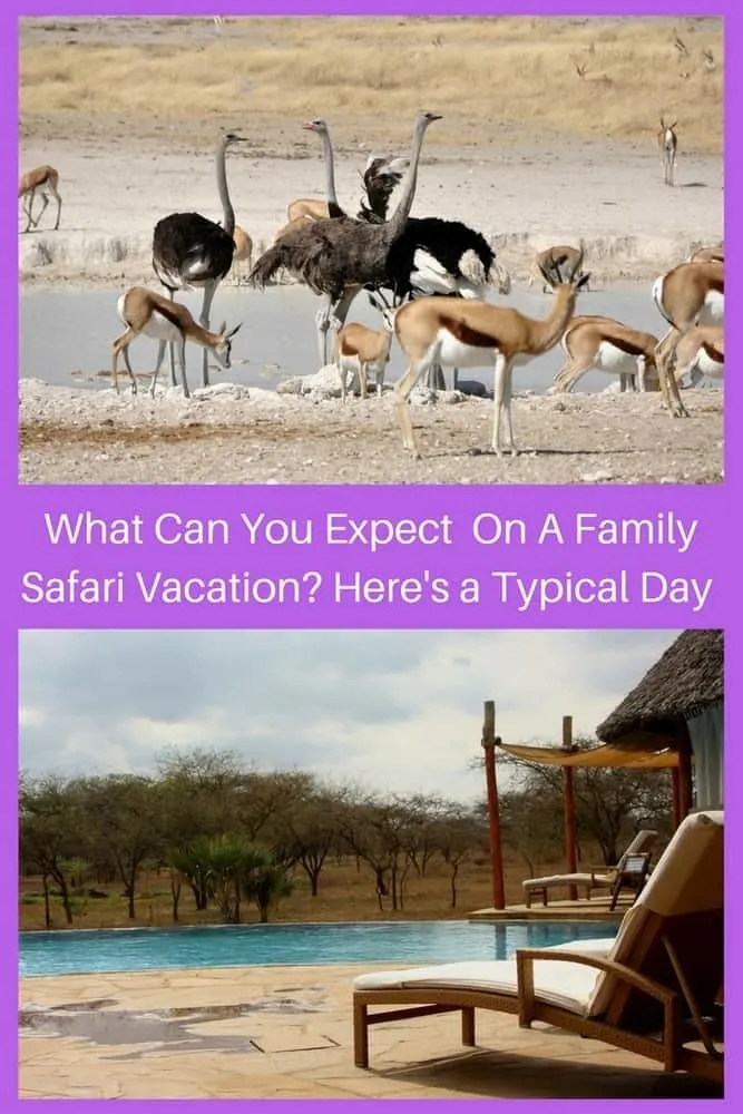 an african safari vacation offers days full of tracking animals and taking photos and relaxing at camp. here is what to expect if your family takes a safari vacation. #safari #vacation #kids
