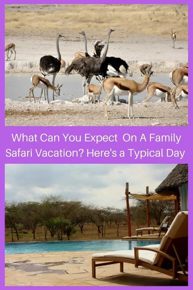 What To Expect On An African Safari Vacation With Kids an african safari vacation offers days full of tracking animals and taking photos and relaxing at camp. here is what to expect if your family takes a safari vacation. #safari #vacation #kids