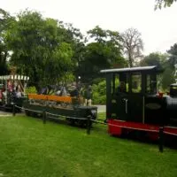 Paris Parks: the train at the jardin acclimitation