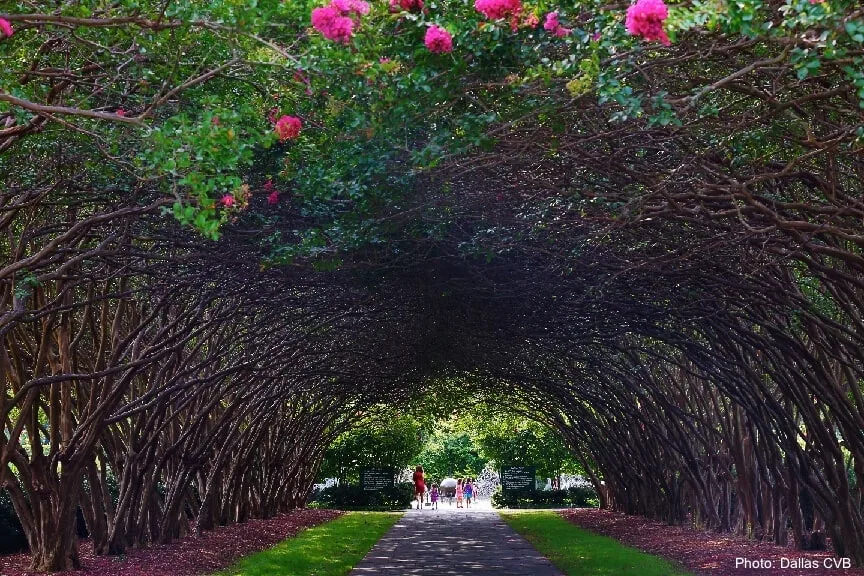 Do These 5 Dallas Things With Kids The greenery of the dallas arboretum