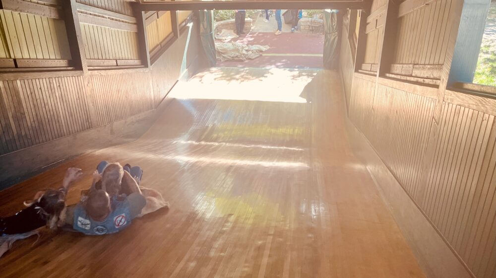 The wooden slide in fairmont park attracts all ages, not just kids.