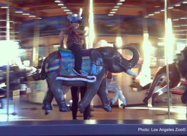 A boy rides an elephant around the carousel at the la zoo