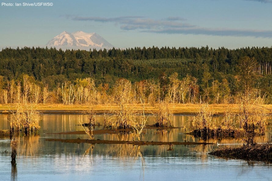 4 U.S. Wildlife Refuges Your Family Will Love