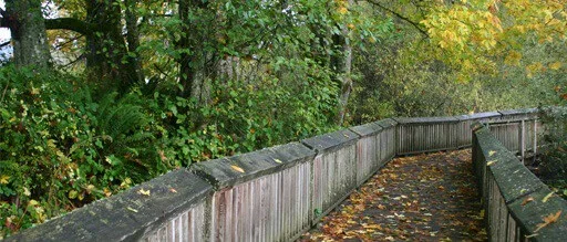 4 U.s. Wildlife Refuges Your Family Will Love a walkway through nisqually refuge delta