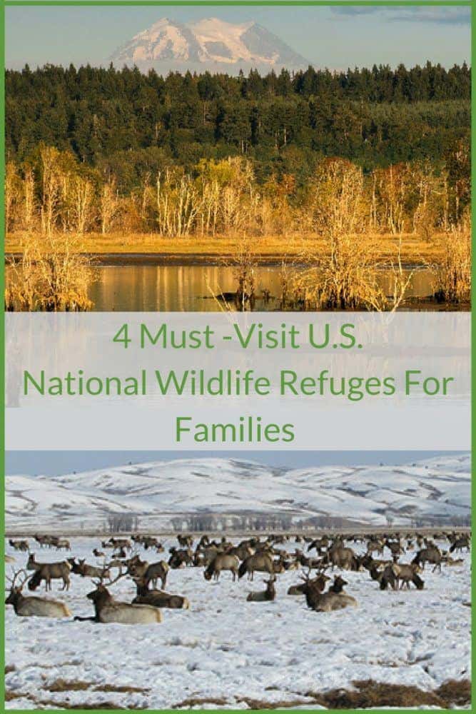 National wildlife refuges provide amazing opportunities to hike, learn about nature and see animals in their habitats, often without crowds. Visit these four u. S. Refuges with kids. #kids #nwf #outdoors #nature