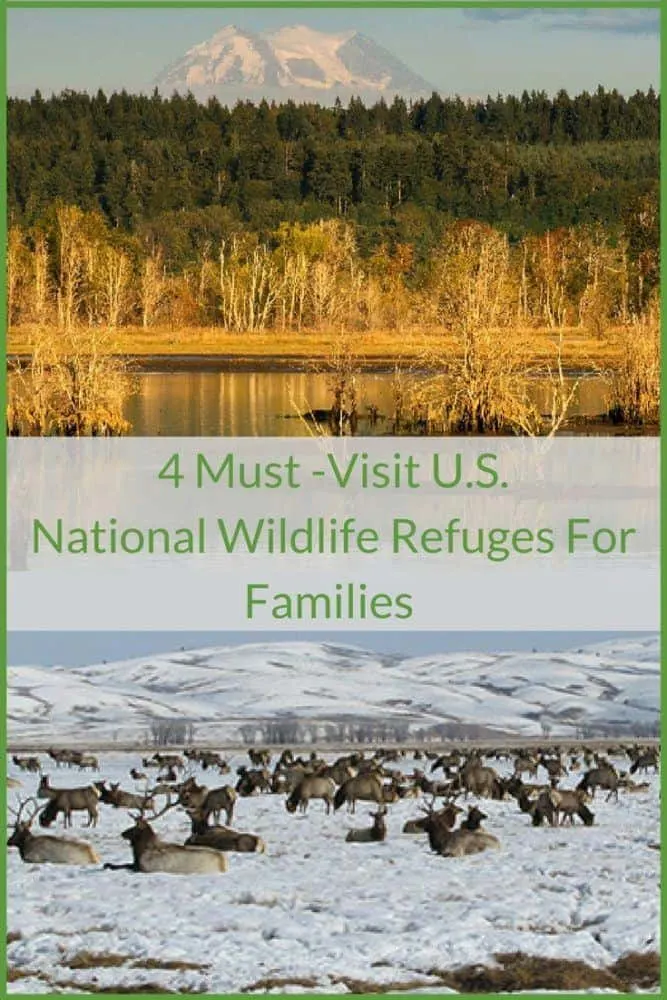 national wildlife refuges provide amazing opportunities to hike, learn about nature and see animals in their habitats, often without crowds. visit these four u.s. refuges with kids. #kids #nwf #outdoors #nature