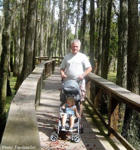 The swamp walk at magnolia plantation