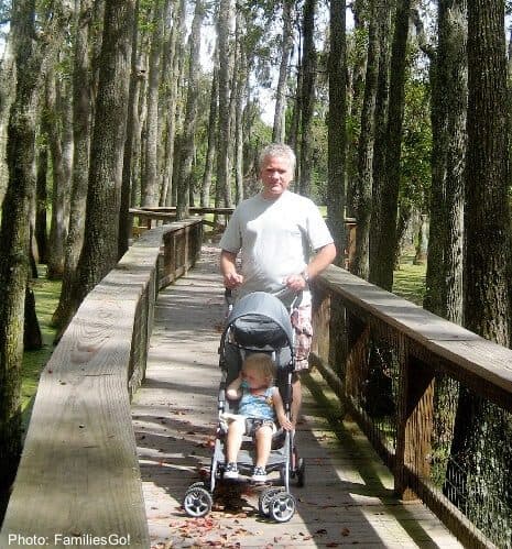 the swamp walk at magnolia plantation