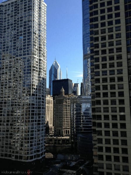 The chicago skyline
