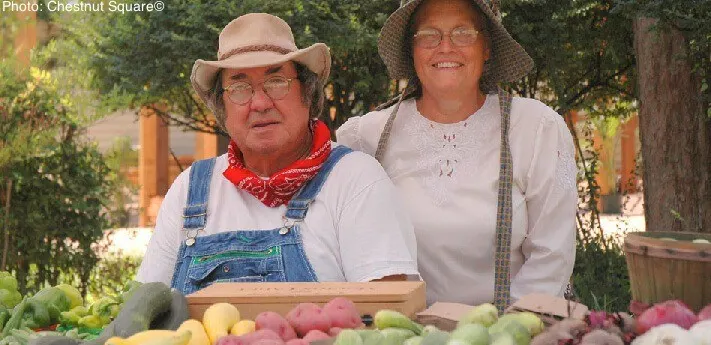 chestnut square offers living history plus a farmers' market in mckinney, texas