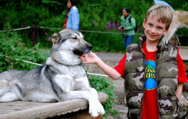 A boy with denali national park's canine patrol