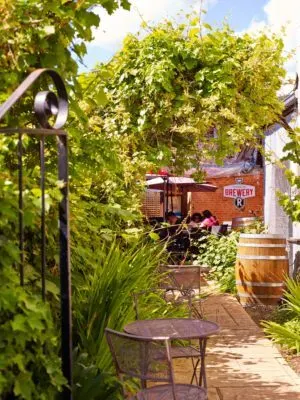 Exploring Australia On Bikes With Kids Poise from your bike ride at a victoria high country brew pub