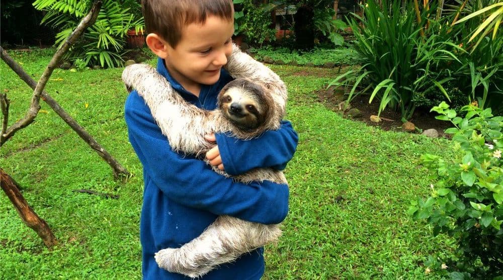 a boy cuddles with an abandoned sloth in the hills of panama.