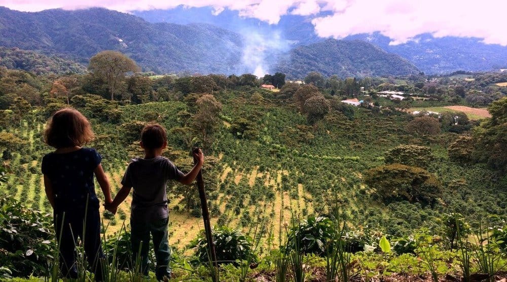Two kids hold jamds p a hilltop overlookign coffee plantations in panama