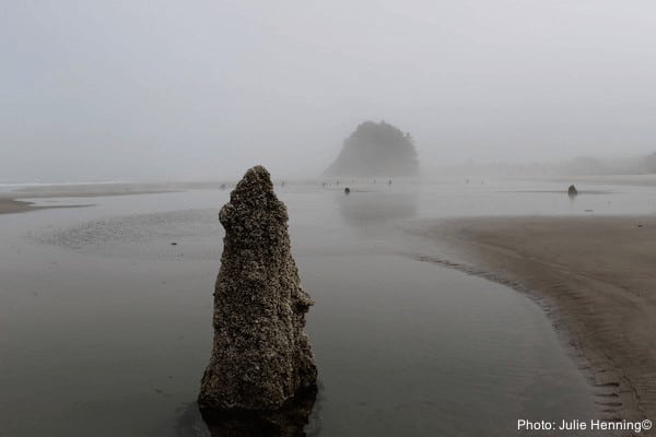 Neskowin is an often-foggy beach with interesting rock formations that should be part of any oregon coast road-trip itinerary.