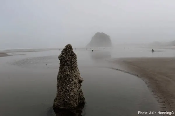 Oregon Coast Road Trip: What To Do &Amp; Where To Stay In 5 Popular Towns Neskowin is an often-foggy beach with interesting rock formations that should be part of any oregon coast road-trip itinerary.