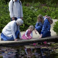 traveling with grandparents can be a learning experience