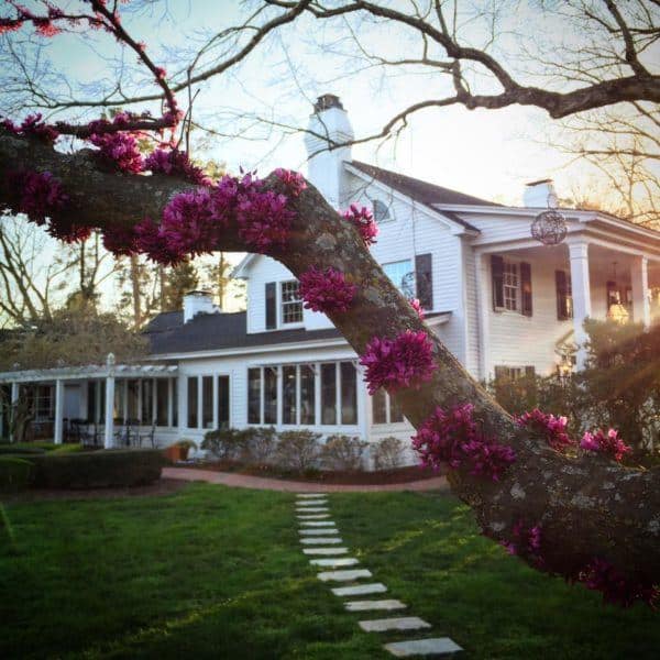 The inn at fearrington house in the spring