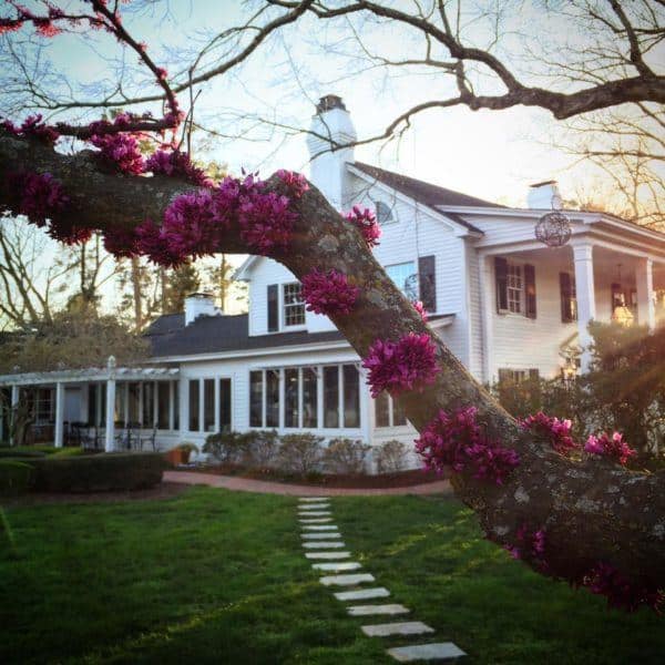 the inn at fearrington house in the spring