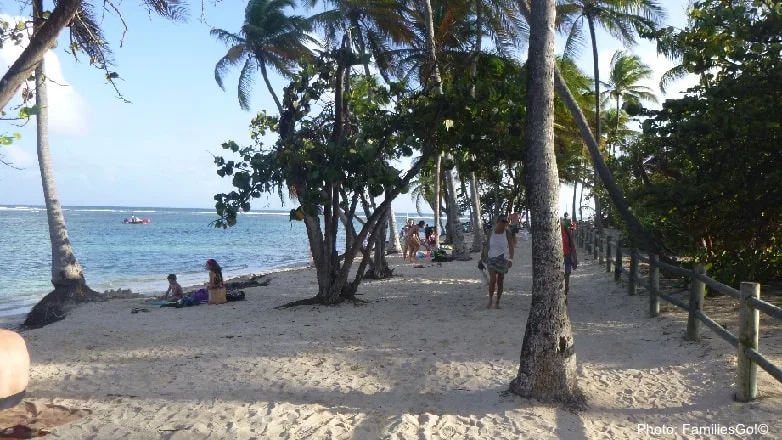 guadeloupe has lovely beaches liek the palm-tree-data strand at plage caravelle.