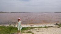 senegal: 7 remarkable & unforgettable things to do with kids: beaches, a pink lake (shown), a colonial, island and lots of wildlife are just a bit of what this western african country has to offer.